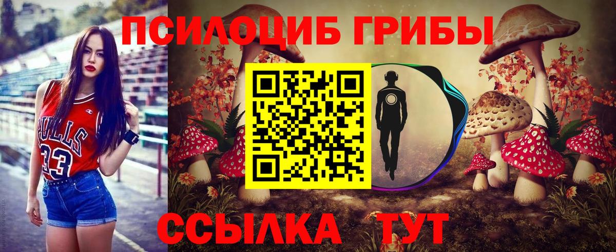 Галлюциногенные грибы прущие грибы  купить  цена  Орёл  Вход с VPN 