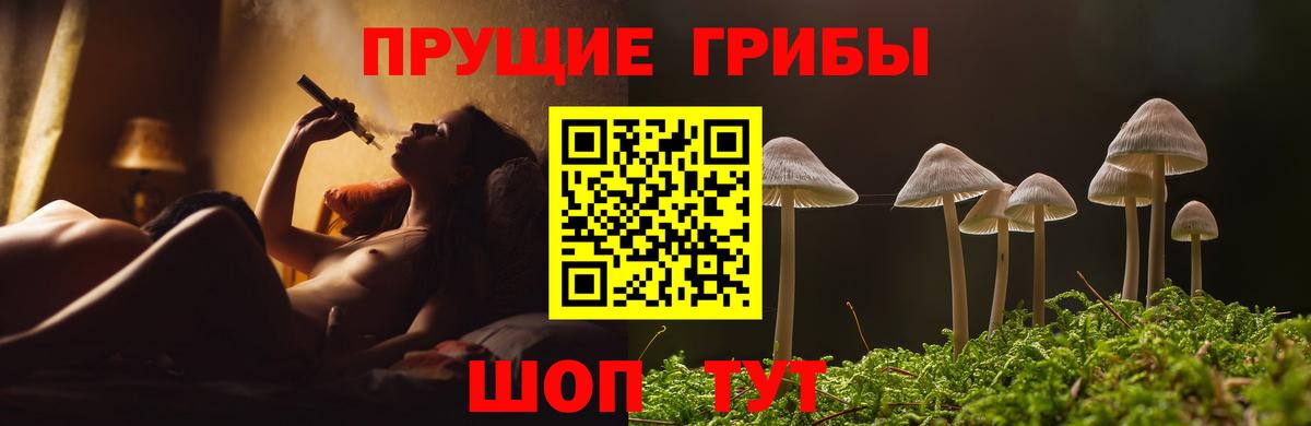 Псилоцибиновые грибы мухоморы Орёл